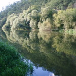 nad jezem ve Střechově